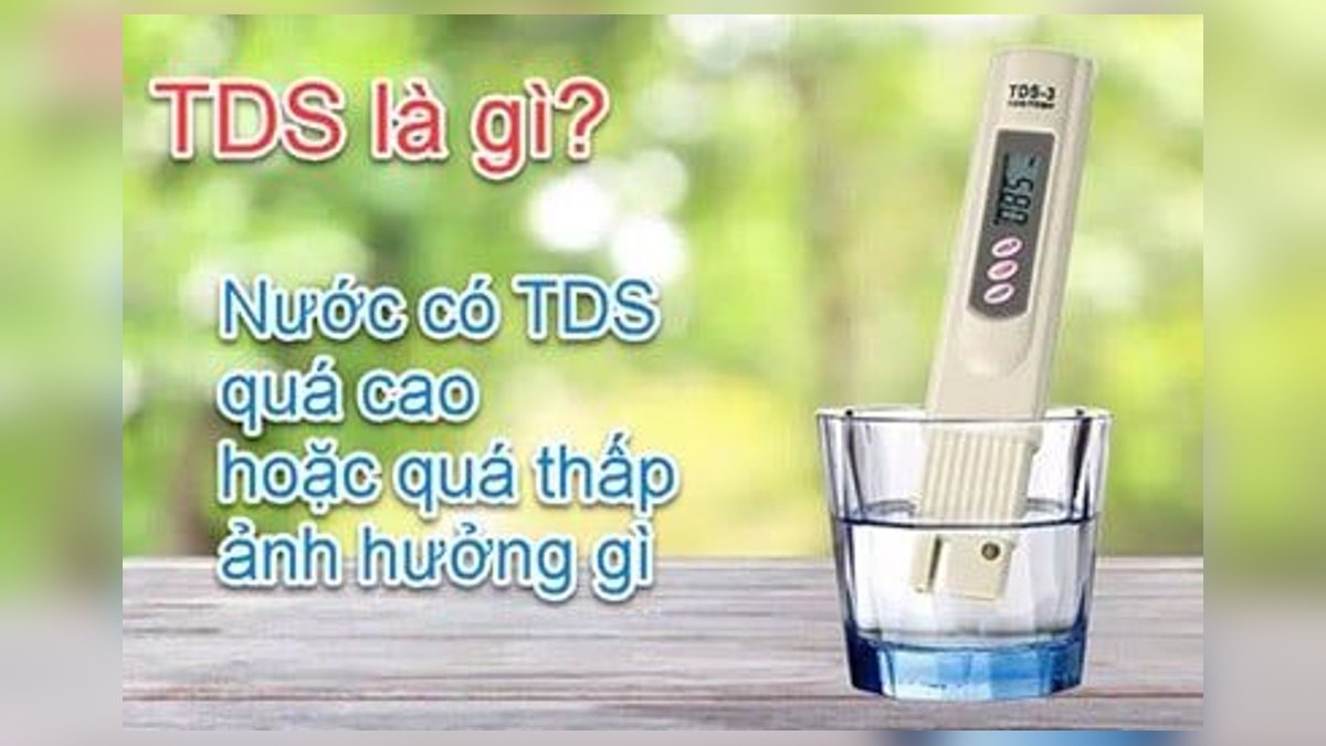 TDS là gì